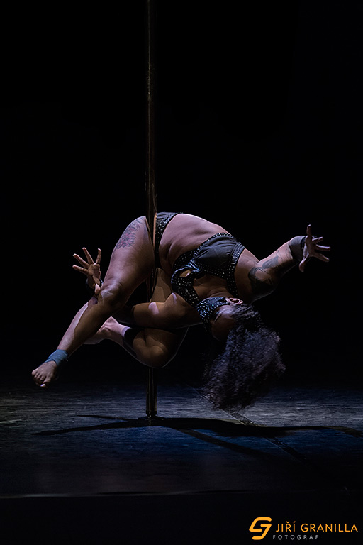 Mistrovstv� �esk� a Slovensk� republiky v pole art 2015 - profi