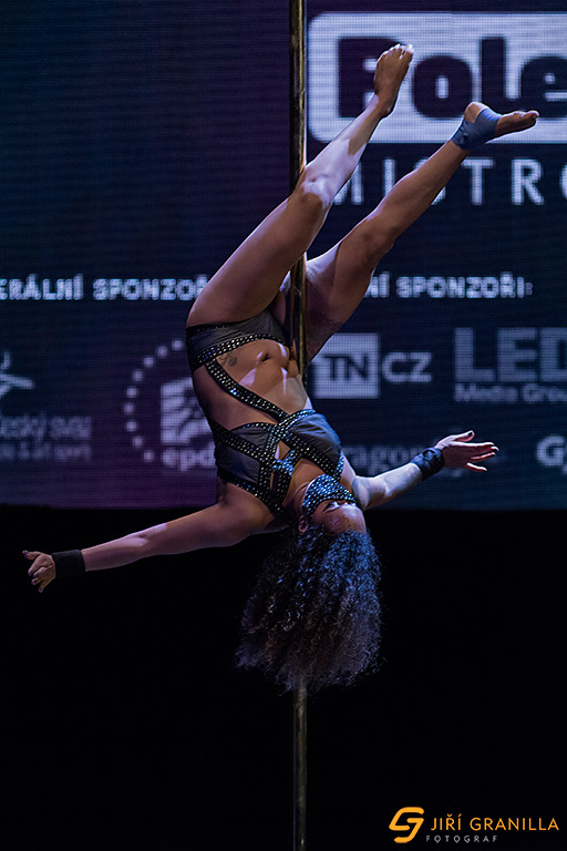 Mistrovstv� �esk� a Slovensk� republiky v pole art 2015 - profi