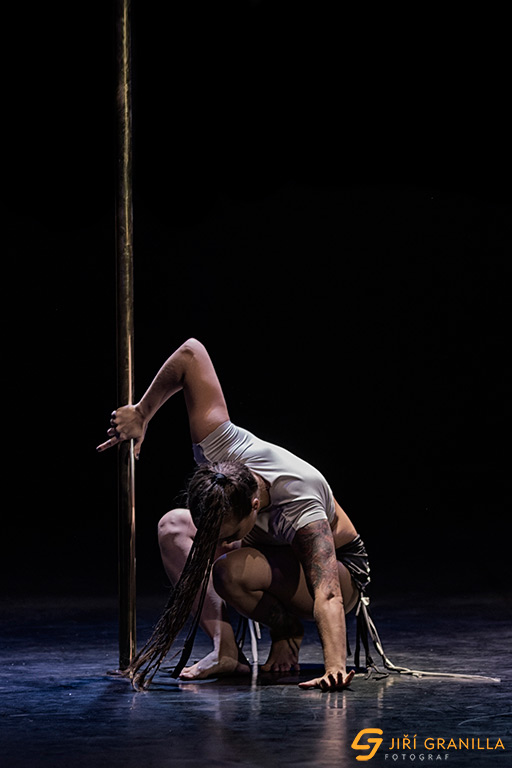 Mistrovstv� �esk� a Slovensk� republiky v pole art 2015 - profi