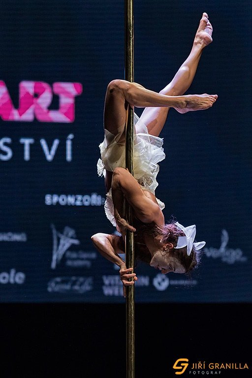 Mistrovstv� �esk� a Slovensk� republiky v pole art 2015 - profi