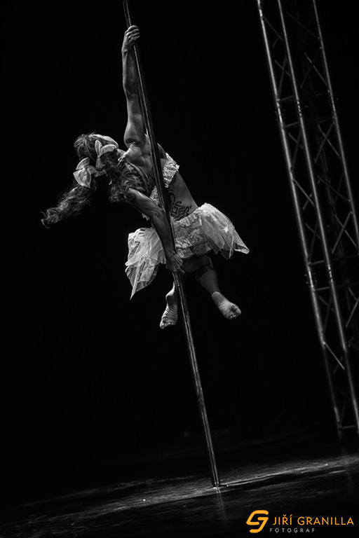 Mistrovstv� �esk� a Slovensk� republiky v pole art 2015 - profi