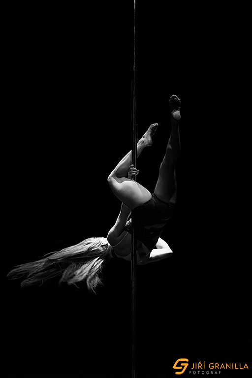 Mistrovstv� �esk� a Slovensk� republiky v pole art 2015 - profi