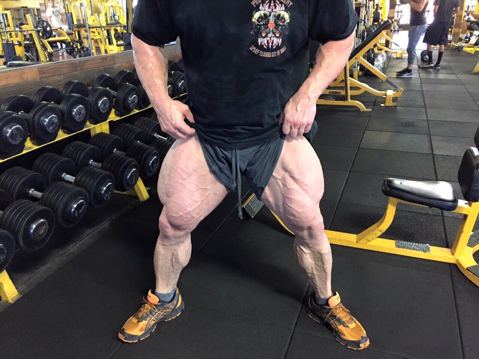 Ronny Rockel