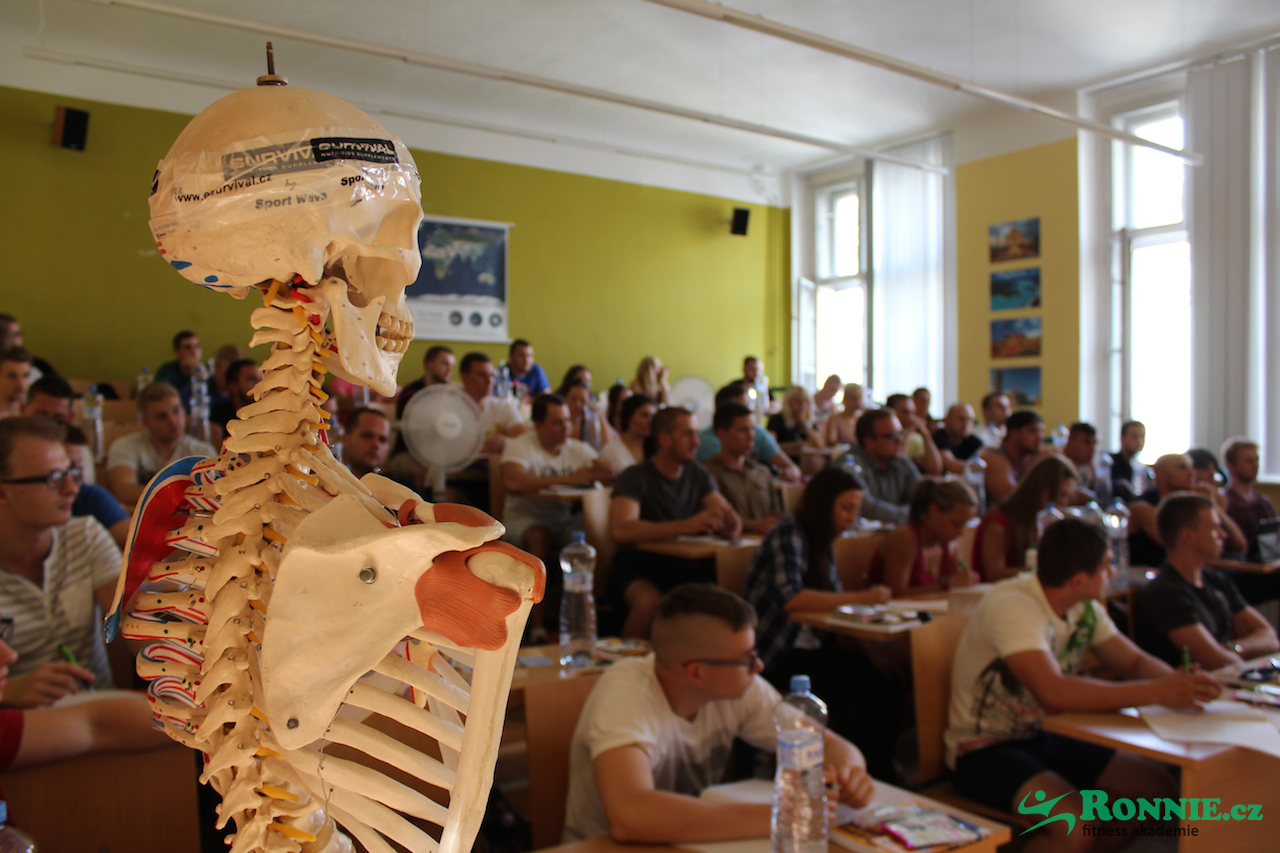 Fitness akademie Ronnie.cz - kurz instruktora fitness a kulturistiky