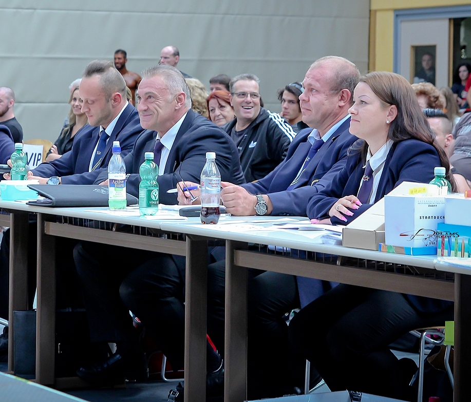 Panel rozhod��ch na International Austria Cup 2015