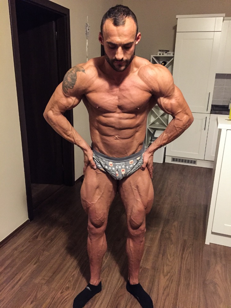 David Vy��tal