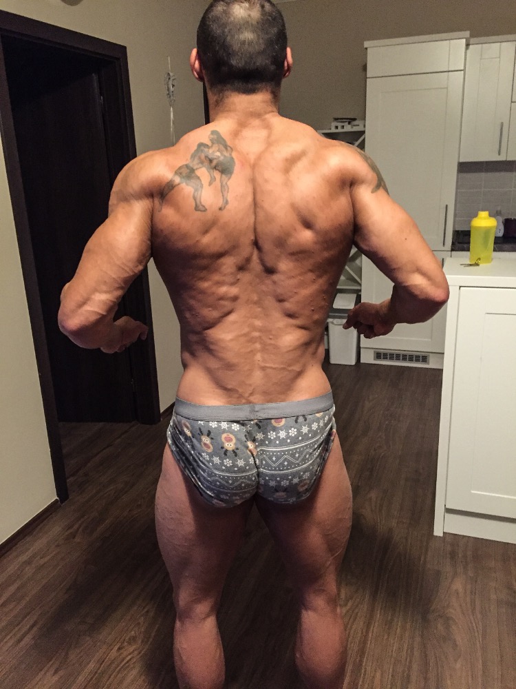 David Vy��tal