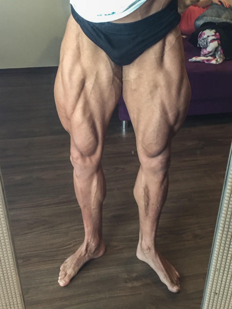David Vy��tal