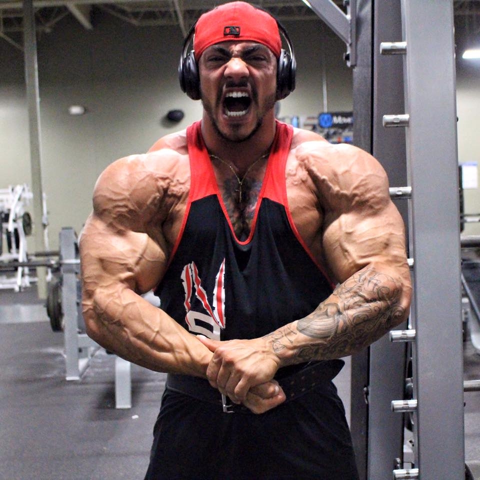 Tristen Escolastico 8 dn� p�ed Europa Phoenix Pro 2015