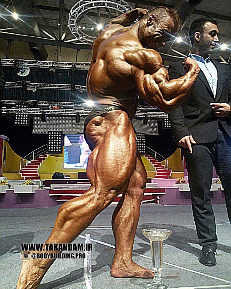 Hassan Rahnamaeian