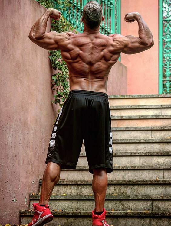 Martin Mester