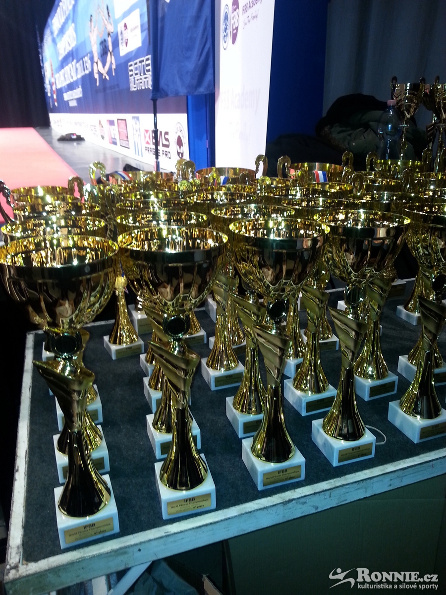 Trofeje na MS ve fitness 2015