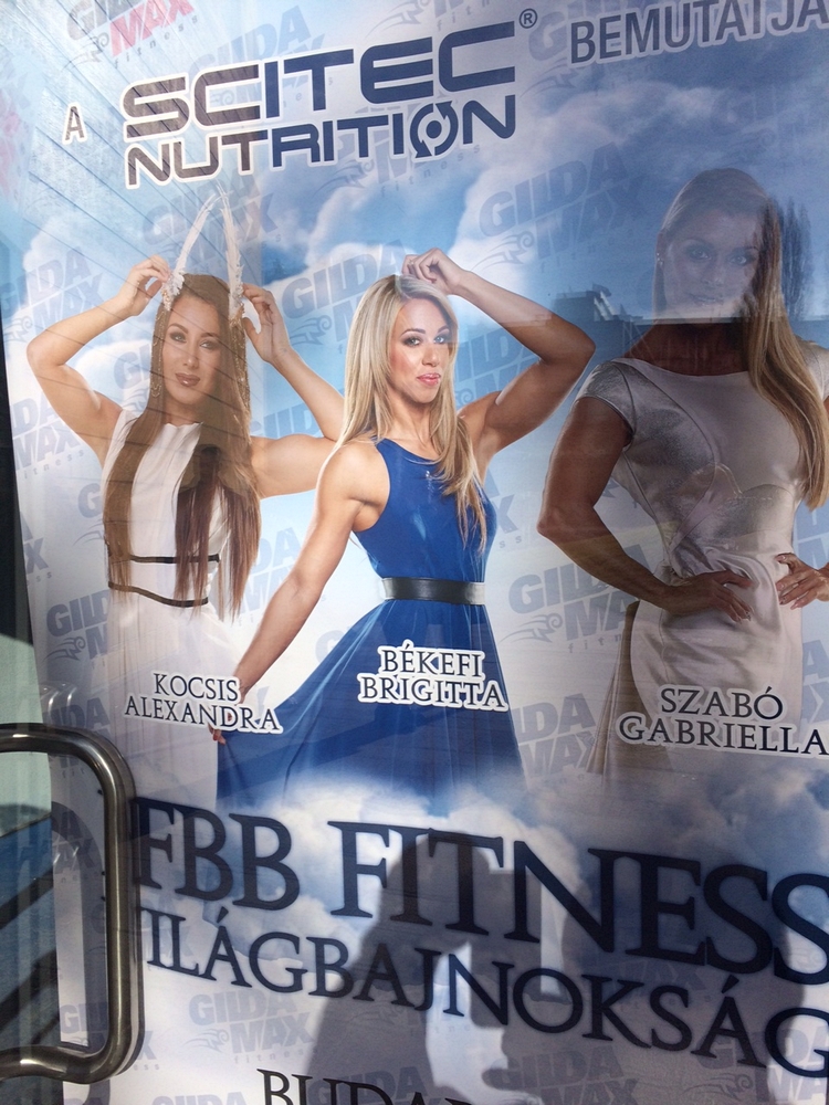 MS ve fitness 2015