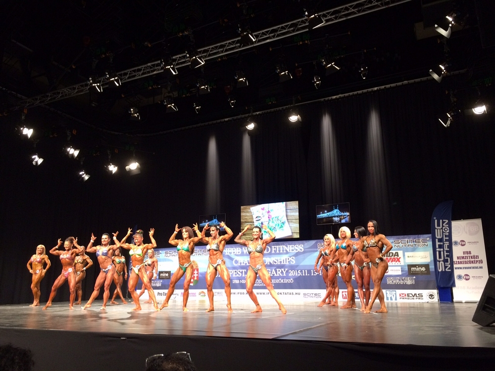 MS ve fitness 2015