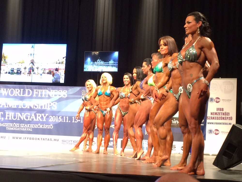 MS ve fitness 2015