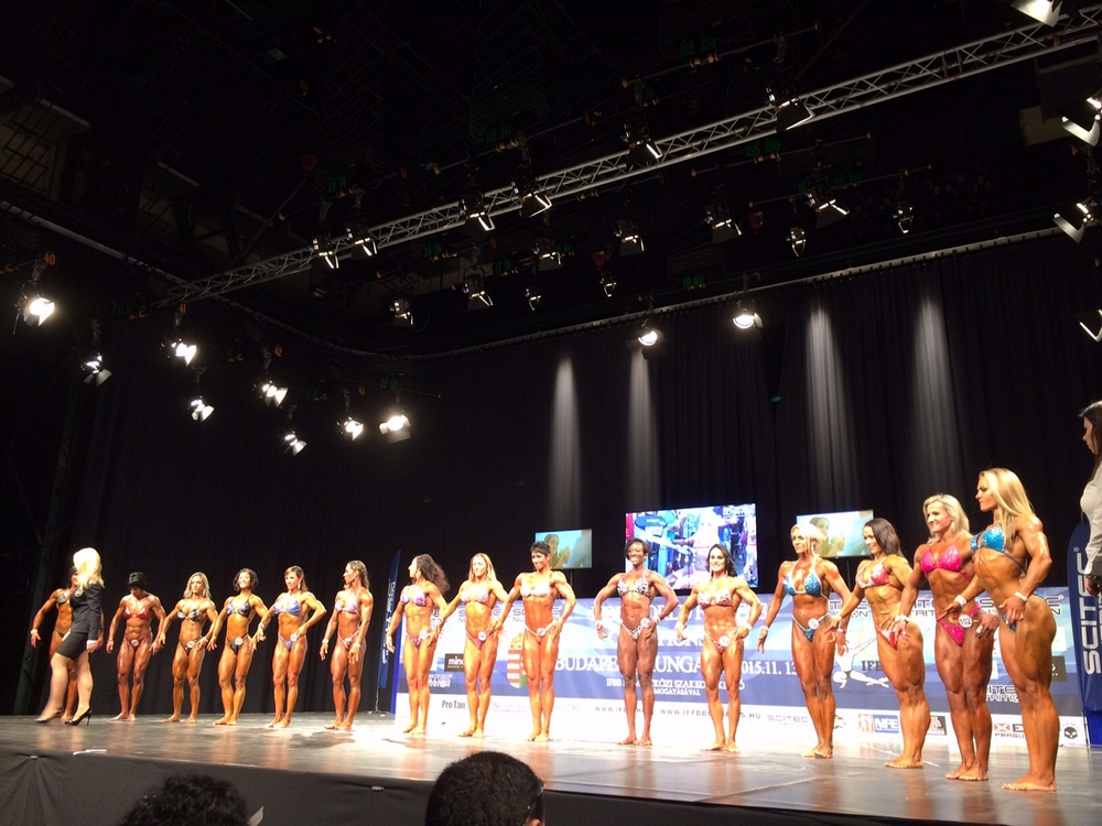 MS ve fitness 2015
