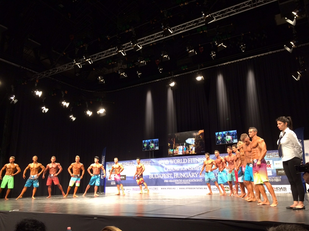 MS ve fitness 2015