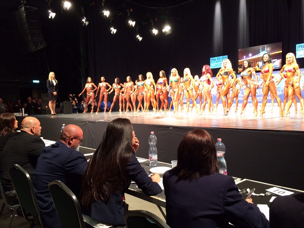 MS ve fitness 2015