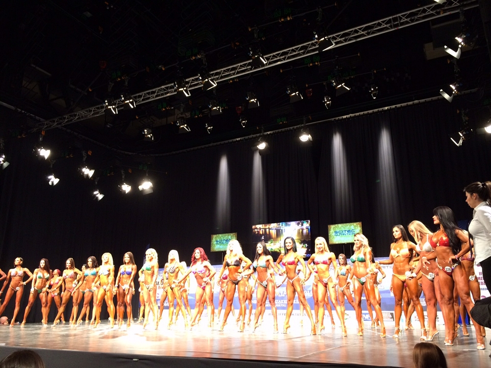 MS ve fitness 2015