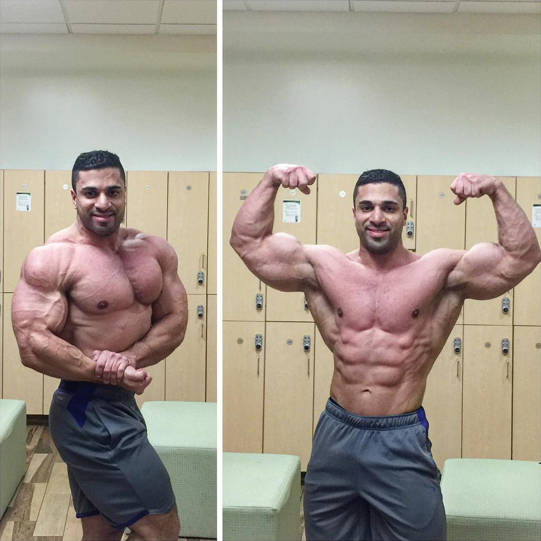 Mustafa Kabbani