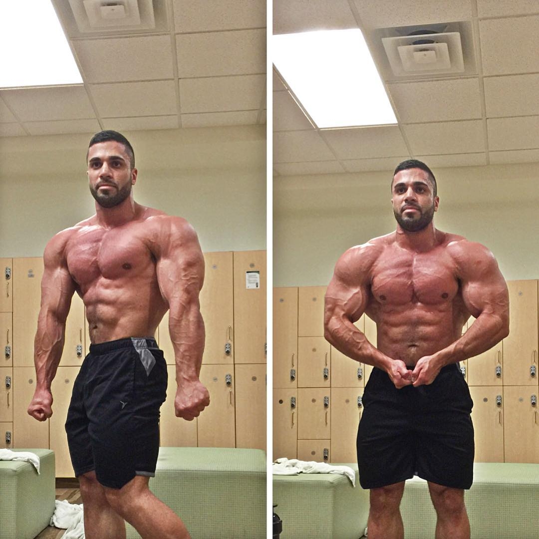 Mustafa Kabbani
