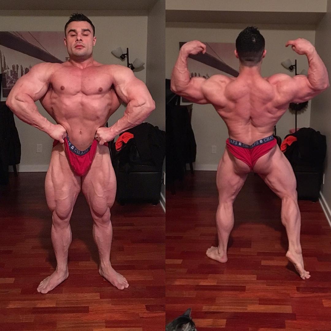 Tony Searle
