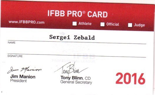 Profesion�ln� karta Sergeye Zebalda