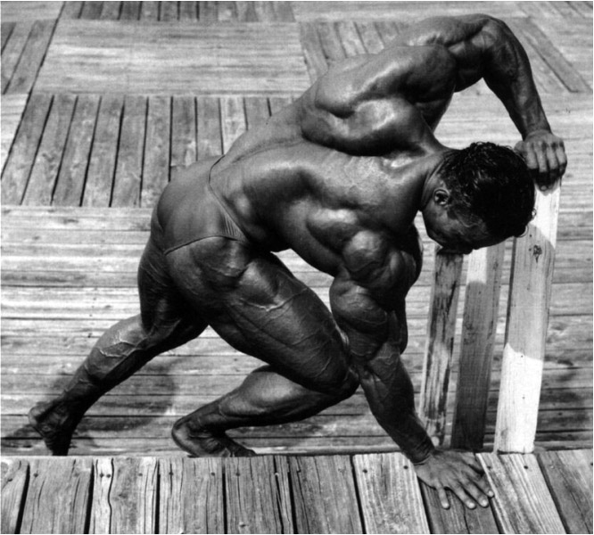 Kevin Levrone