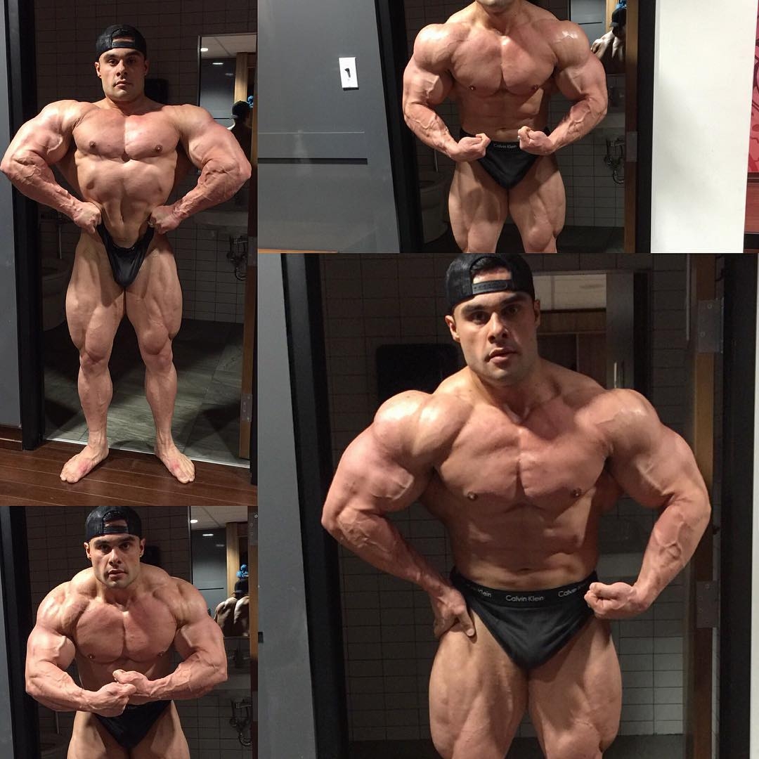 Tony Searle