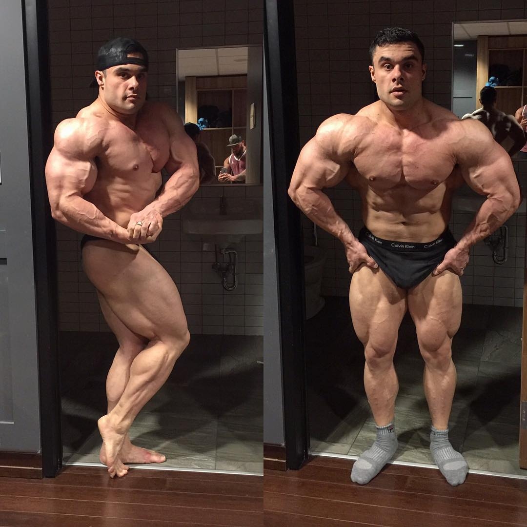 Tony Searle