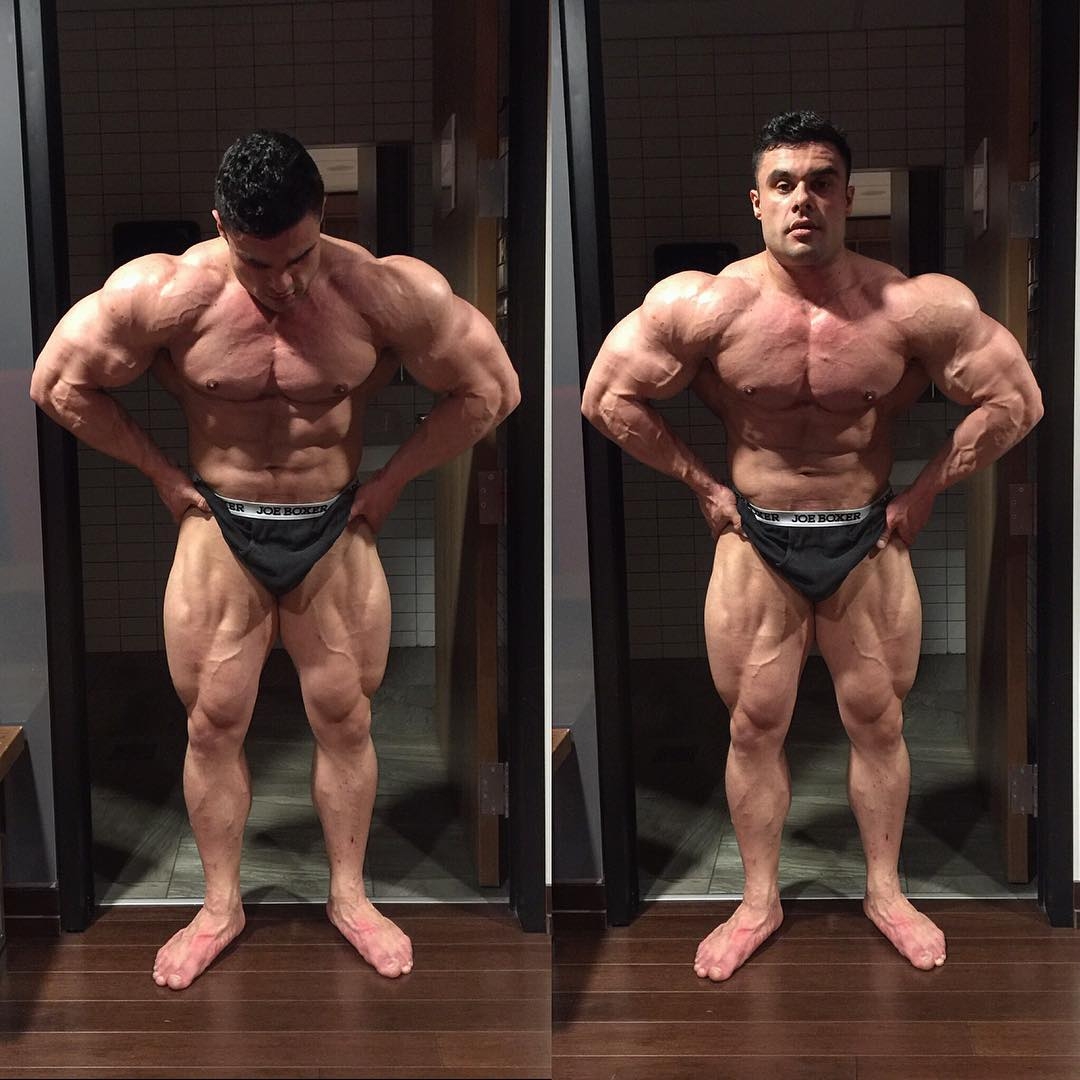 Tony Searle
