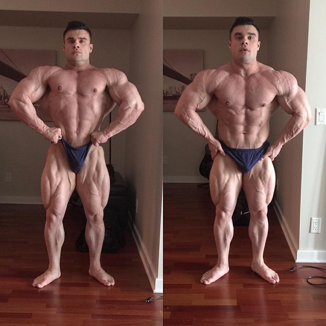 Tony Searle