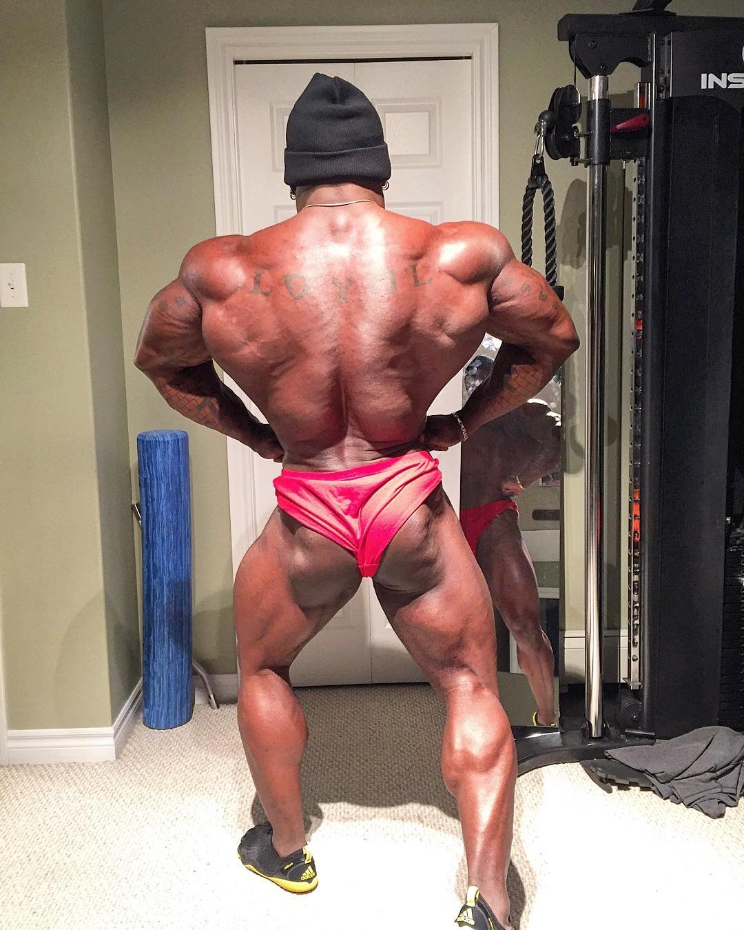 Jonni Shreve