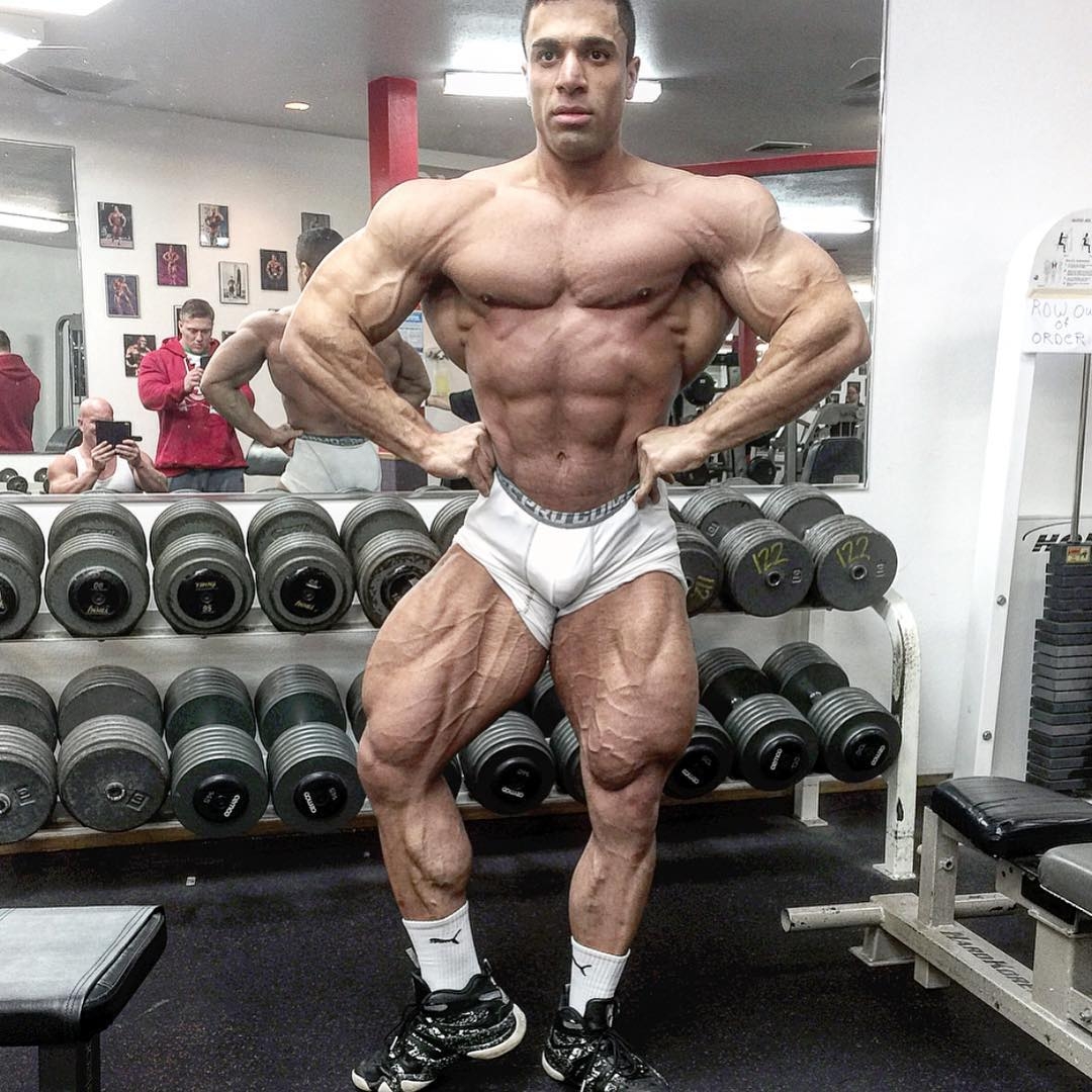 Mustafa Kabbani