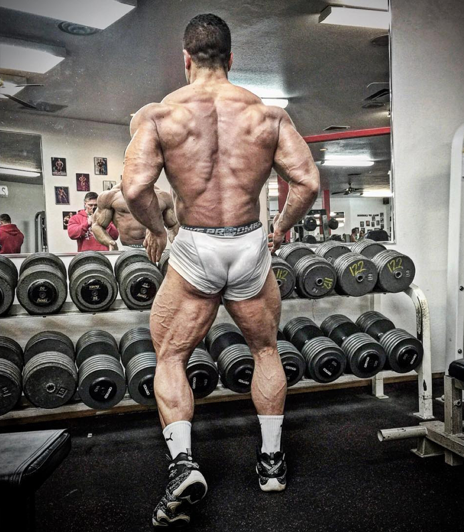 Mustafa Kabbani