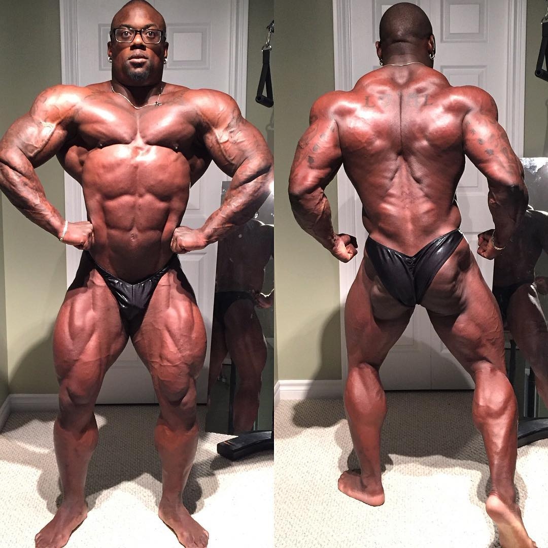 Jonni Shreve