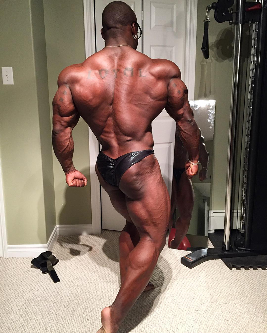 Jonni Shreve