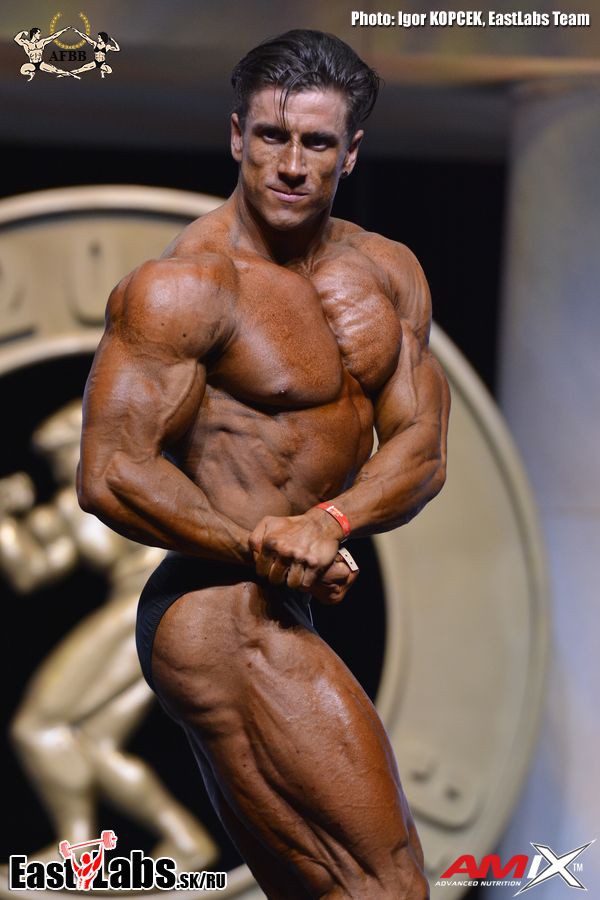 Svetozar Milenkovic