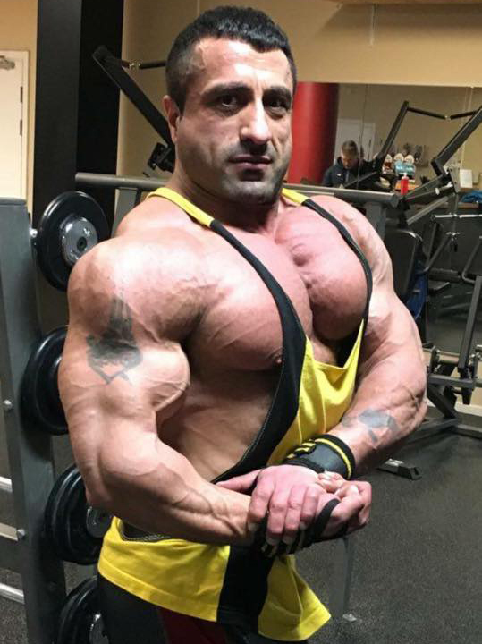 Pierre Chamoun