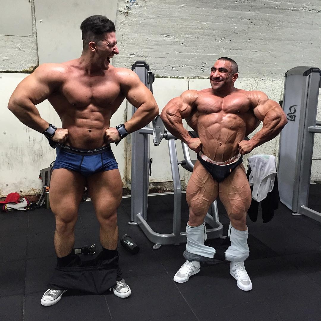 Sadik Hadzovic a Ahmad Ashkanani