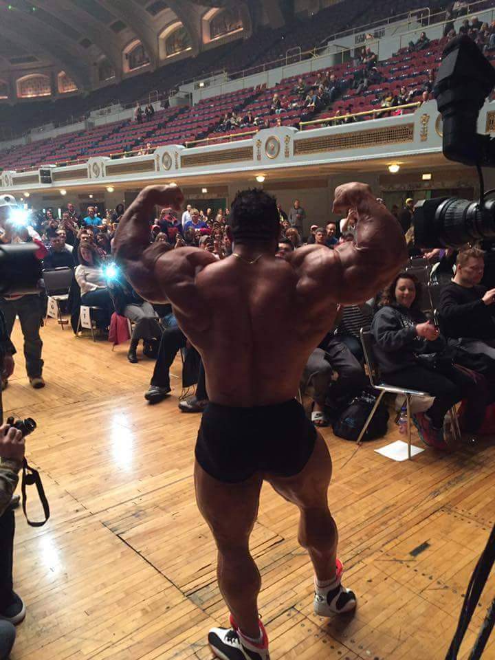Roelly Winklaar