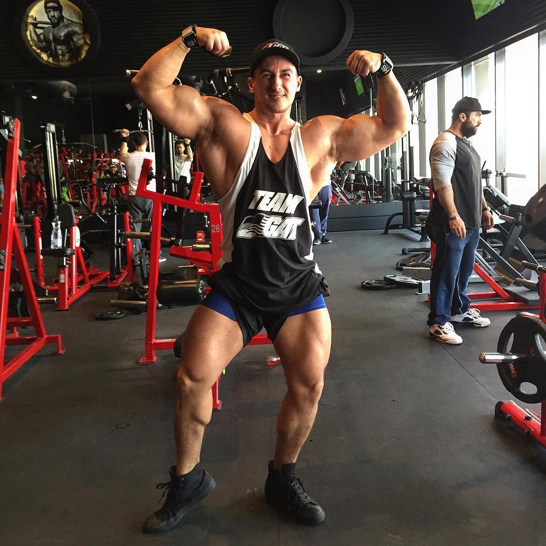 Sadik Hadzovic