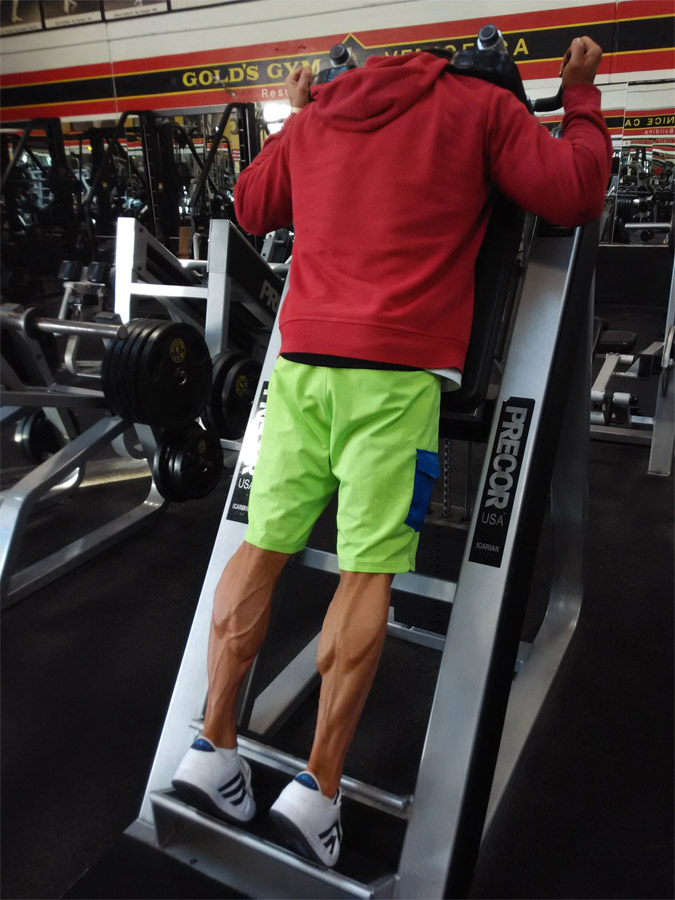 Ji�� Vil�mek na tr�ninku v Gold�s Gymu v roce 2014 