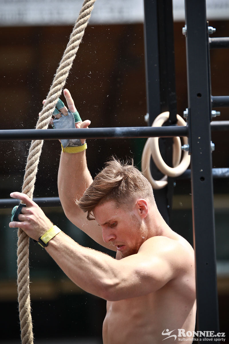 Fit Monster 2016
