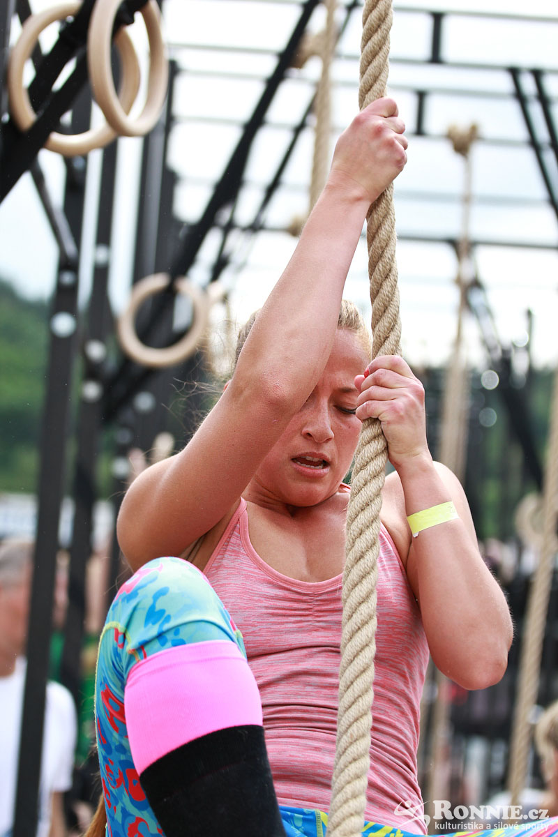 Fit Monster 2016