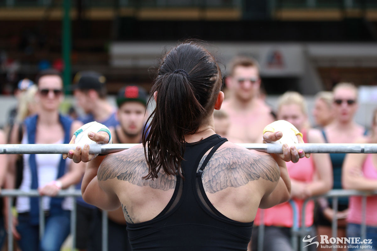 Fit Monster 2016