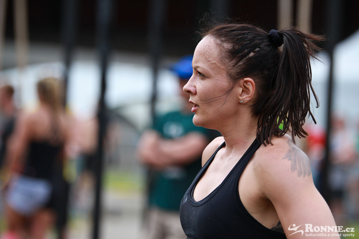 Fit Monster 2016
