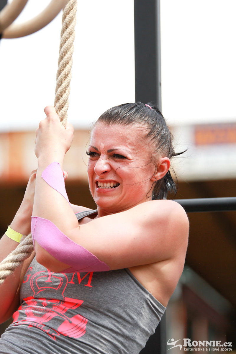 Fit Monster 2016