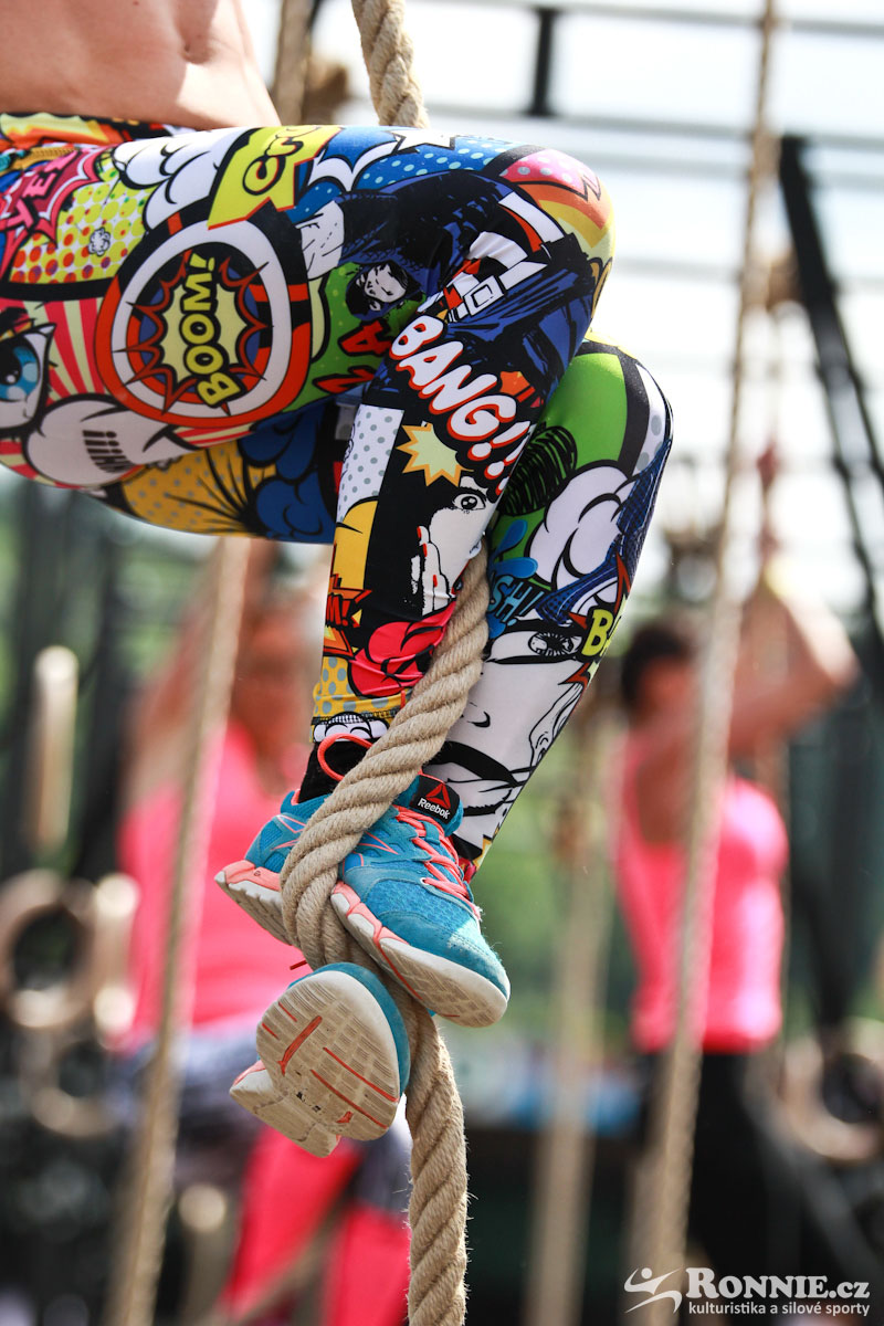 Fit Monster 2016