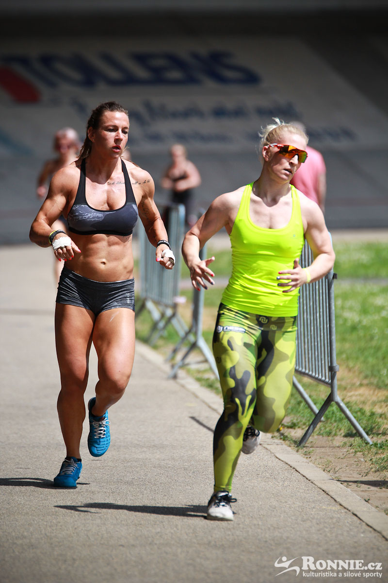 Fit Monster 2016
